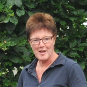 Lies van Noort